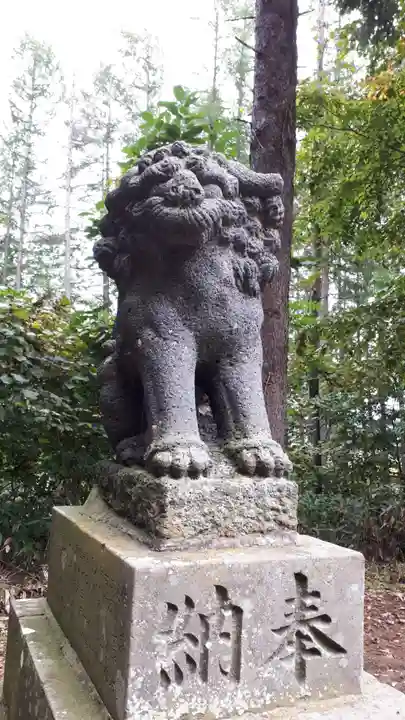 京極八幡神社の狛犬