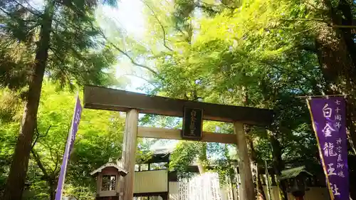 若宮神明社の鳥居