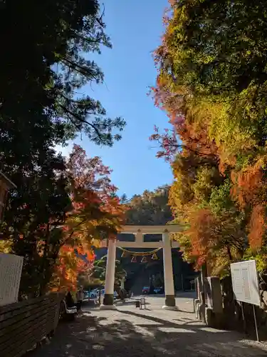 宝登山神社(埼玉県)