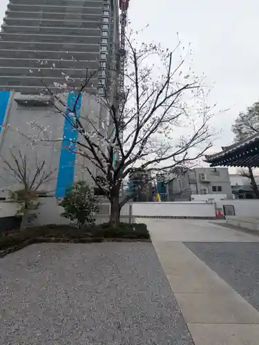 観音寺(東京都)