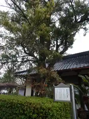 春日神社(大阪府)