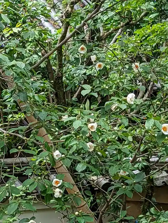 東林院(京都府)