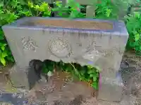 松山不動尊の手水舎