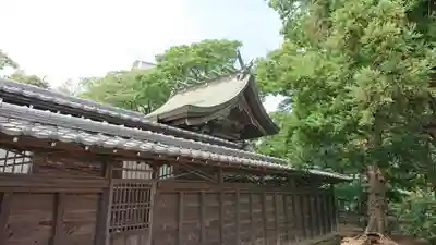 菊田神社の本殿・本堂