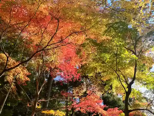 神峯山寺(大阪府)