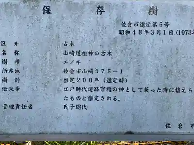 仙元神社(千葉県)