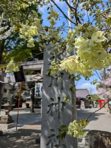 相模原氷川神社(神奈川県)
