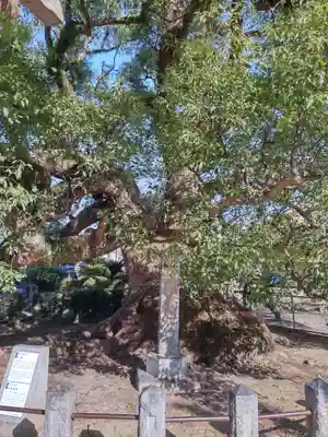 北野天満宮(福岡県)