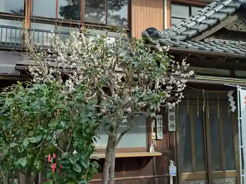 高円寺天祖神社(東京都)