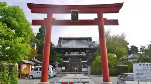 梅宮大社の鳥居