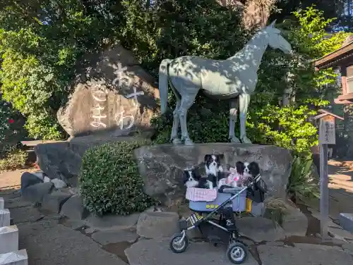 駒木諏訪神社の{uncategorized: "未分類", other: "その他", undefined: "問題あり", building: "その他建物", grave: "お墓", sacred_gate: "鳥居", guardian: "狛犬", statue: "像", buddha: "仏像", history: "歴史", nature: "自然", garden: "庭園", animal: "動物", pagoda: "塔", temizu: "手水舎", mountain_gate: "山門・神門", sanctuary: "本殿・本堂", subordinate: "末社・摂社", art: "芸術", scenery: "景色", jizo: "地蔵", ema: "絵馬", goshuin: "御朱印", omikuji: "おみくじ", items: "授与品その他", amulet: "お守り", goshuincho: "御朱印帳", eats: "食事", festival: "お祭り", votive_dance: "神楽", shichigosan: "七五三参", wedding: "結婚式", experience: "体験その他", initially: "初詣", around: "周辺", anti_infection: "感染症対策"}