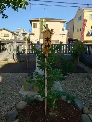 雷神社(東京都)