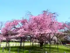 賀茂別雷神社（上賀茂神社）(京都府)