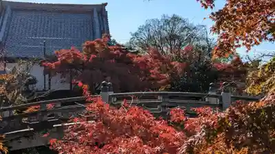 くろ谷 金戒光明寺(京都府)