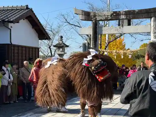 美奈宜神社(福岡県)