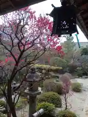 後白河院御聖蹟　法住寺(京都府)