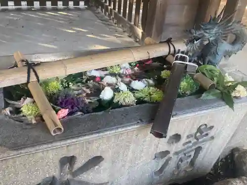愛知県高浜市春日神社(愛知県)