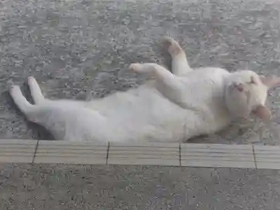 宝寿院(愛知県)