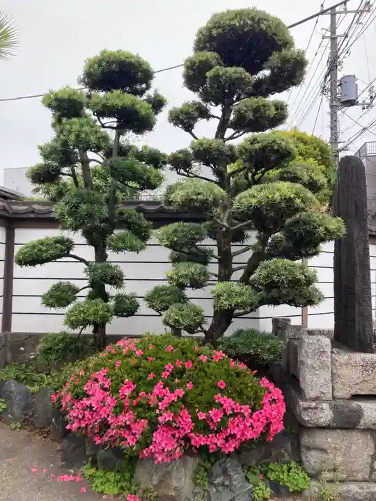 円頓寺(東京都)