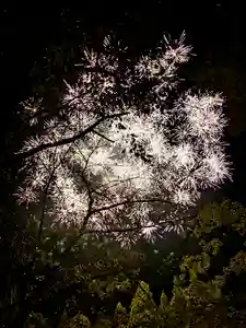 蚊里田八幡宮(長野県)(2025年09月28日(日) 11時33分25秒投稿)