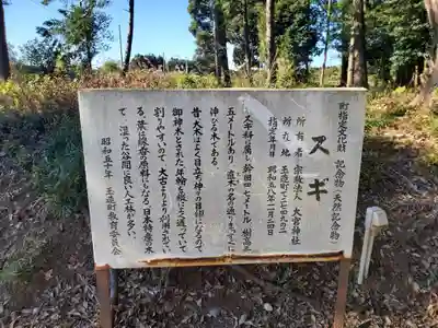大宮神社(茨城県)