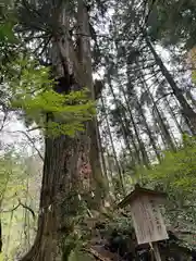 花園神社(茨城県)