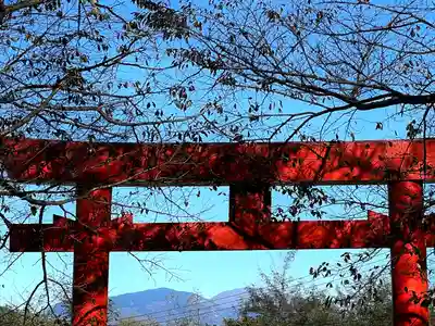 子檀嶺神社(長野県)
