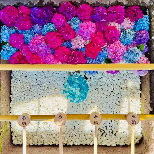 土津神社｜こどもと出世の神さま(福島県)