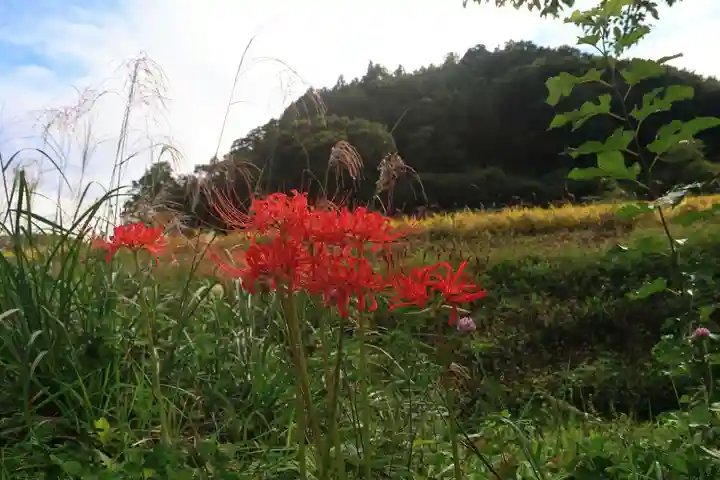 高司神社〜むすびの神の鎮まる社〜の周辺