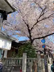 真福寺　大日堂　(清水寺境外塔頭）の自然