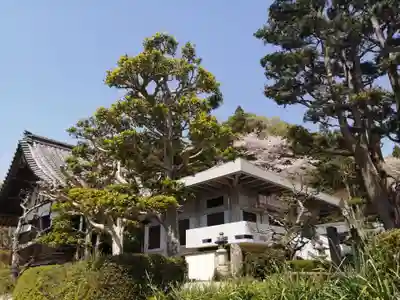 観音寺のその他建物