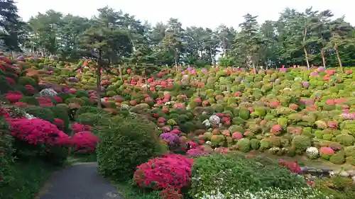 塩船観音寺(東京都)