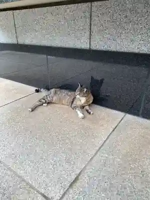 白金氷川神社(東京都)