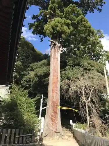 筑波山神社の自然