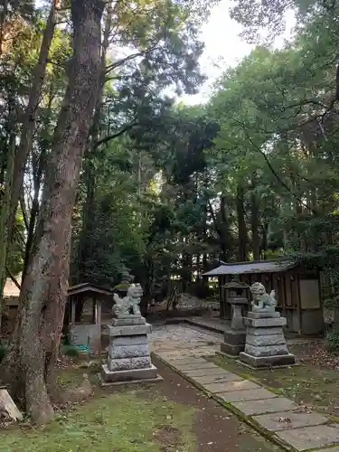 麻賀多神社の狛犬