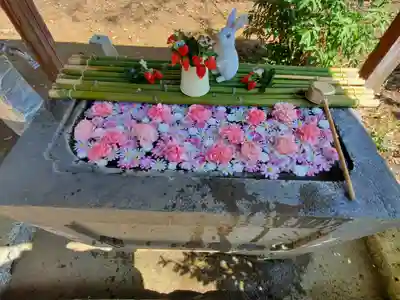 千代ケ岡八幡宮の手水舎