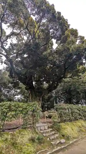 新日吉神宮(京都府)