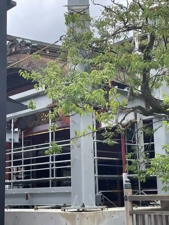 太宰府天満宮(福岡県)