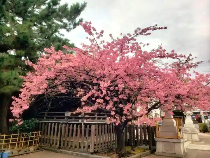 新宿下落合氷川神社(東京都)