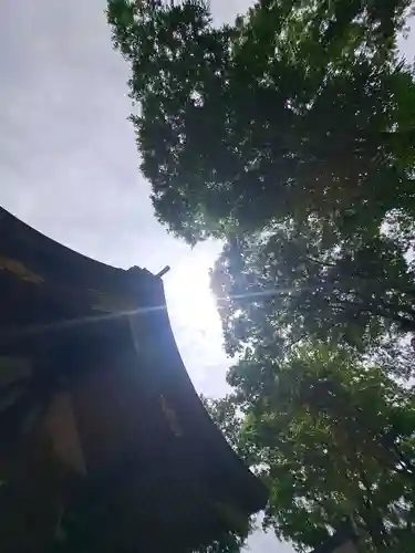 小野神社(東京都)
