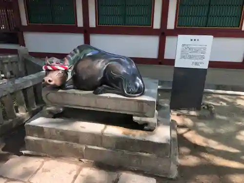 太宰府天満宮(福岡県)
