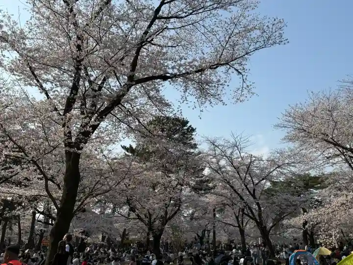 武蔵一宮氷川神社の{uncategorized: "未分類", other: "その他", undefined: "問題あり", building: "その他建物", grave: "お墓", sacred_gate: "鳥居", guardian: "狛犬", statue: "像", buddha: "仏像", history: "歴史", nature: "自然", garden: "庭園", animal: "動物", pagoda: "塔", temizu: "手水舎", mountain_gate: "山門・神門", sanctuary: "本殿・本堂", subordinate: "末社・摂社", art: "芸術", scenery: "景色", jizo: "地蔵", ema: "絵馬", goshuin: "御朱印", omikuji: "おみくじ", items: "授与品その他", amulet: "お守り", goshuincho: "御朱印帳", eats: "食事", festival: "お祭り", votive_dance: "神楽", shichigosan: "七五三参", wedding: "結婚式", experience: "体験その他", initially: "初詣", around: "周辺", anti_infection: "感染症対策"}