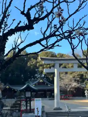 群馬県護国神社(群馬県)