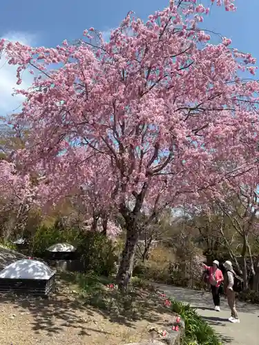 勝尾寺(大阪府)