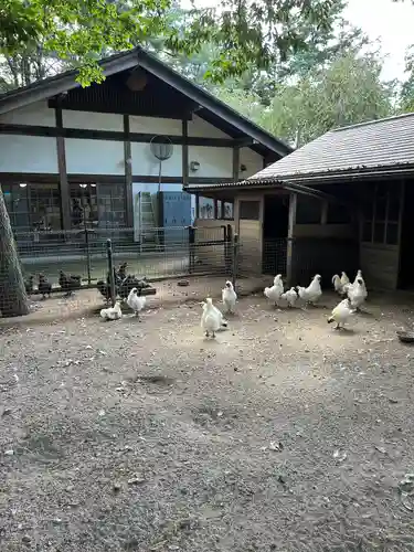 身曾岐神社の動物