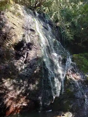 紀州宝来宝来神社の自然