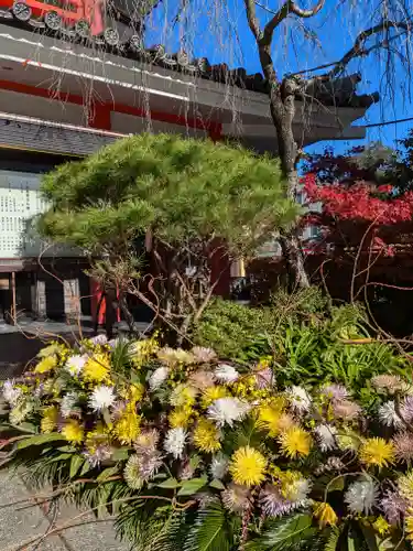 高幡不動尊　金剛寺(東京都)