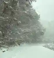 山賊魂稲成神社の{uncategorized: "未分類", other: "その他", undefined: "問題あり", building: "その他建物", grave: "お墓", sacred_gate: "鳥居", guardian: "狛犬", statue: "像", buddha: "仏像", history: "歴史", nature: "自然", garden: "庭園", animal: "動物", pagoda: "塔", temizu: "手水舎", mountain_gate: "山門・神門", sanctuary: "本殿・本堂", subordinate: "末社・摂社", art: "芸術", scenery: "景色", jizo: "地蔵", ema: "絵馬", goshuin: "御朱印", omikuji: "おみくじ", items: "授与品その他", amulet: "お守り", goshuincho: "御朱印帳", eats: "食事", festival: "お祭り", votive_dance: "神楽", shichigosan: "七五三参", wedding: "結婚式", experience: "体験その他", initially: "初詣", around: "周辺", anti_infection: "感染症対策"}