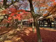 東福禅寺（東福寺）(京都府)