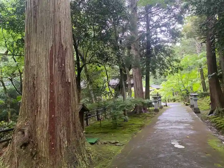 妙楽寺(福井県)